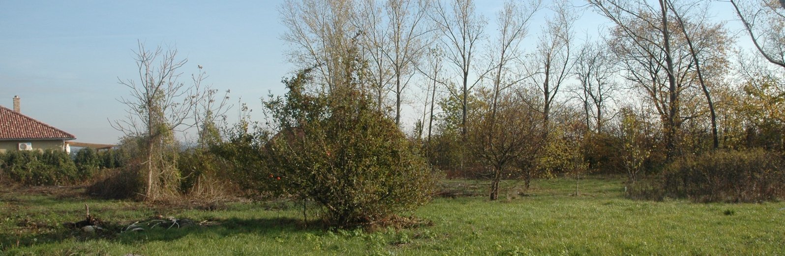 elado_telek_2200.jpg