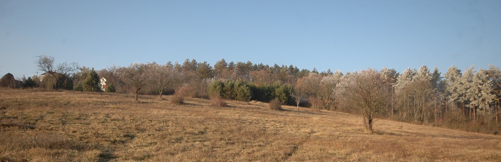 elado_epitesi_telek_2890-1.jpg