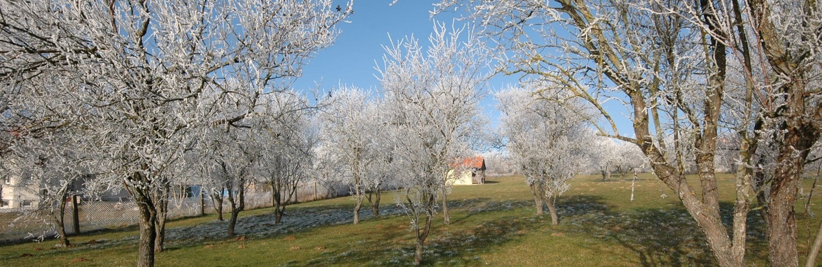 elado_epitesi_telek_2918.jpg