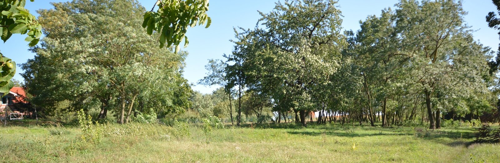 dsc_1920.jpg