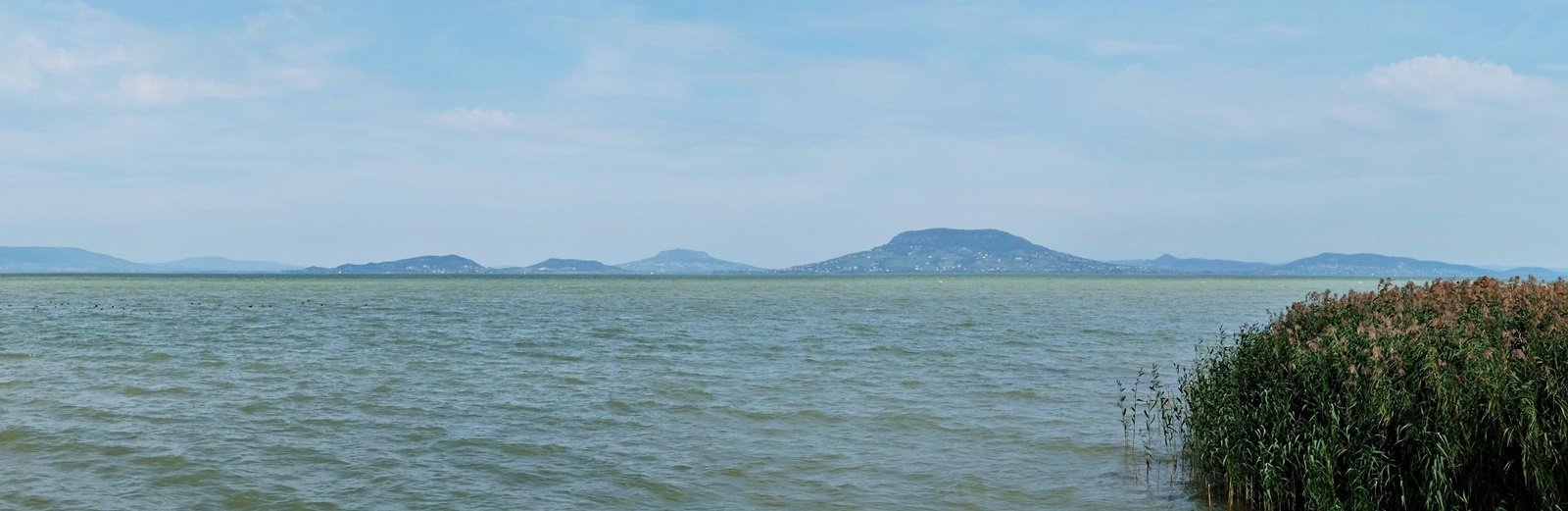 dscf5277_pt.jpg