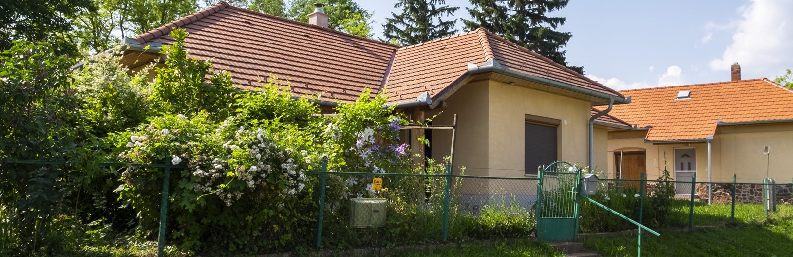 dscf6668dokumentum-nejavitott-jpg.jpg