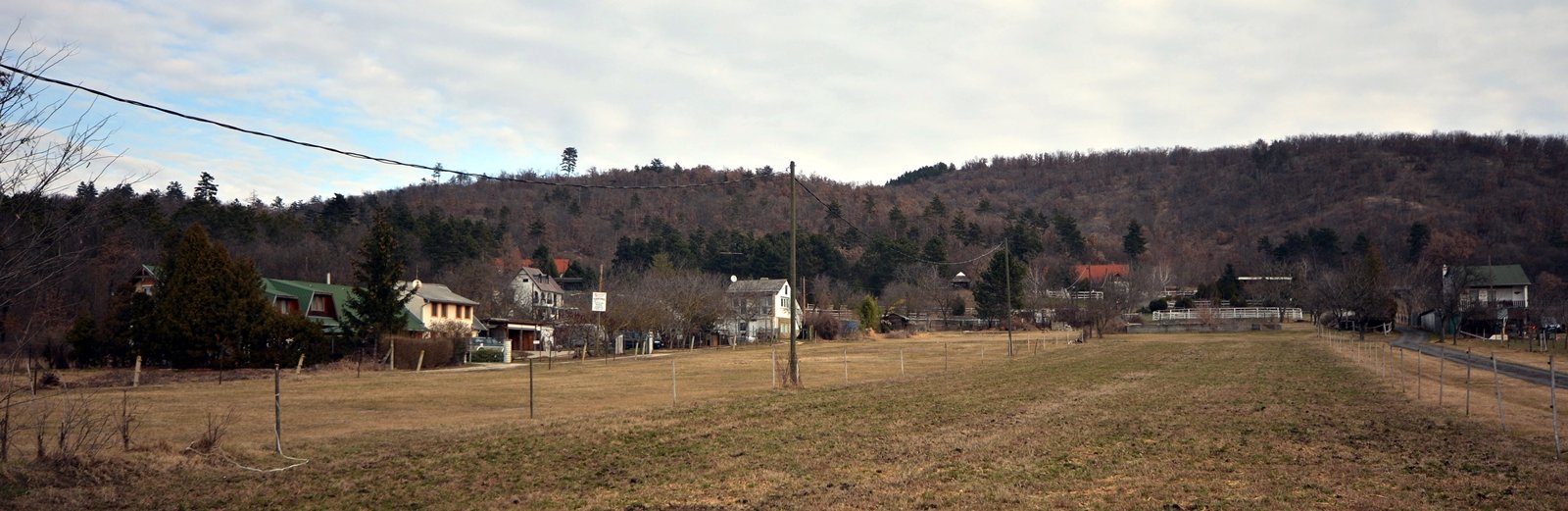 dsc_4861_pt.jpg