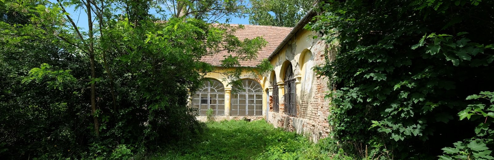 dscf3933.jpg