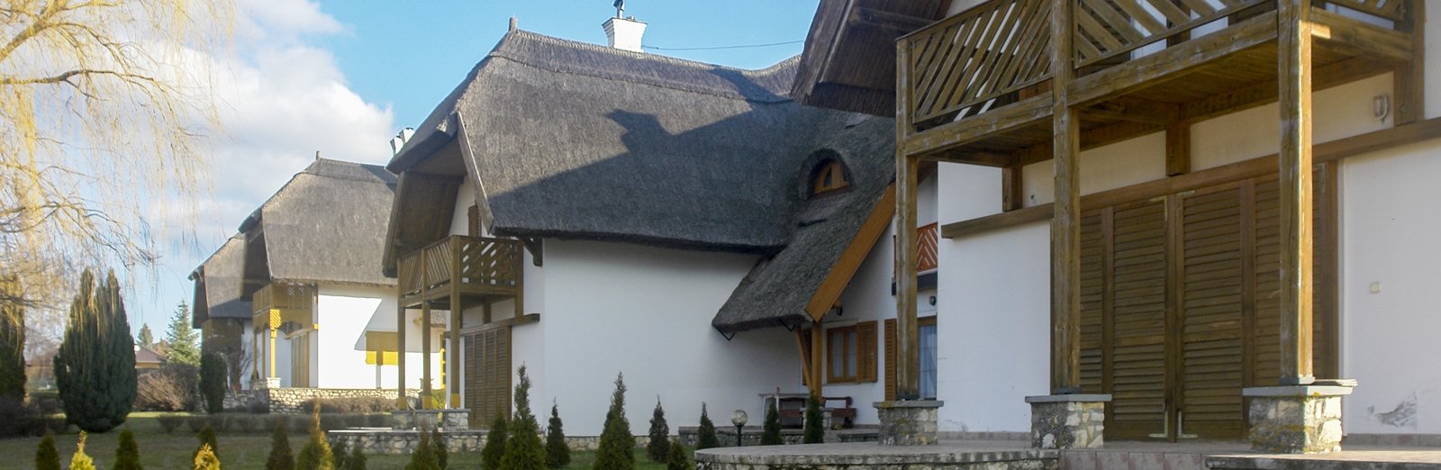 dsc0282dokumentum-nejavitott-jpg.jpg