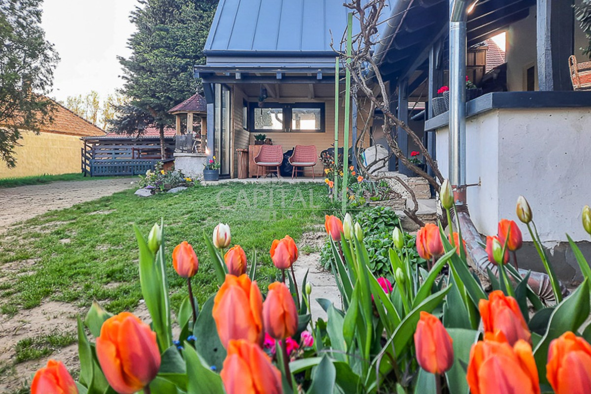 Einfamilienhaus - 4358