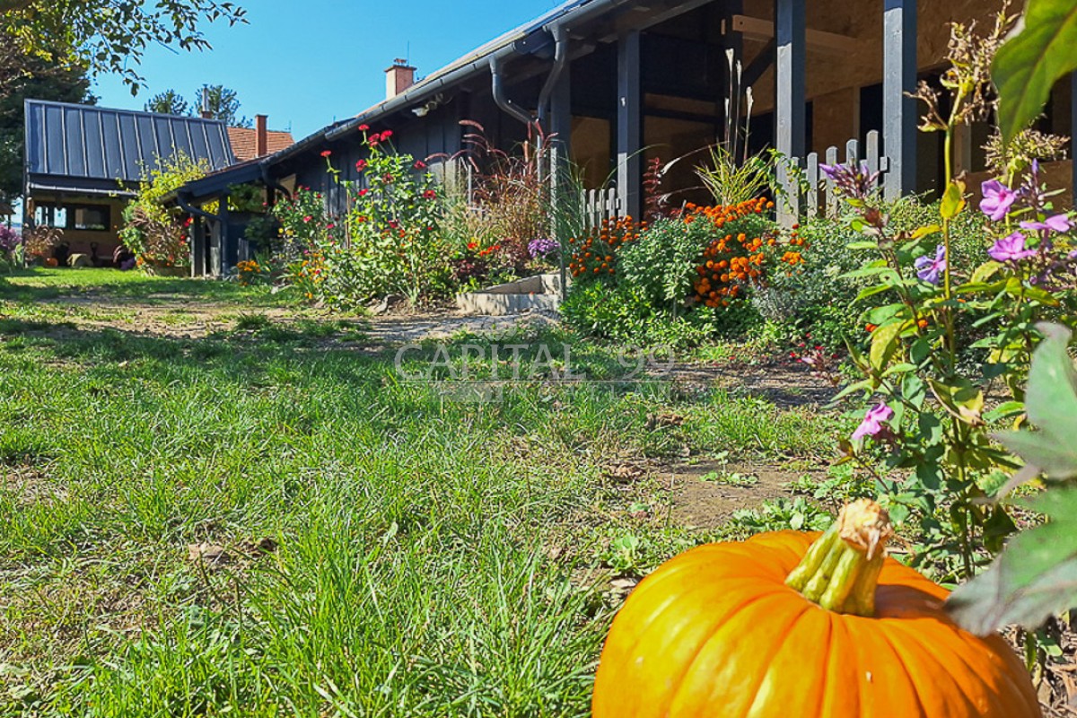 Einfamilienhaus - 4358