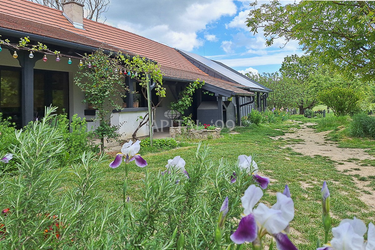 Einfamilienhaus - 4358