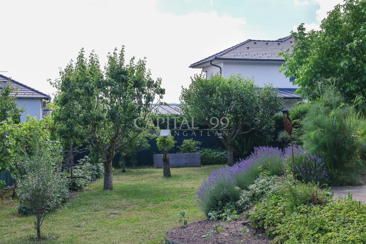 Einfamilienhaus - 4391