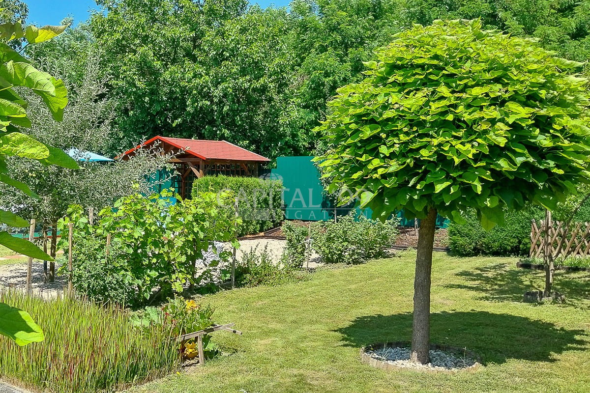 Einfamilienhaus - 4408