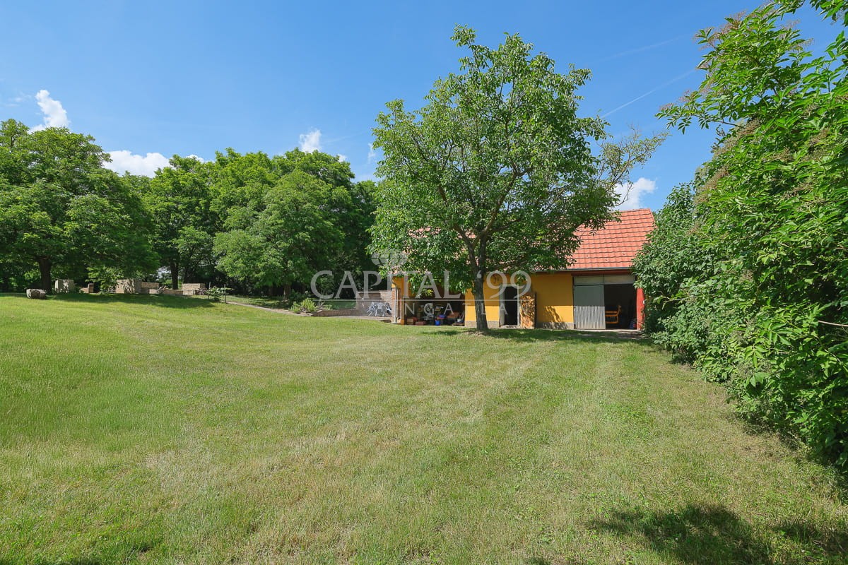 Einfamilienhaus - 4413