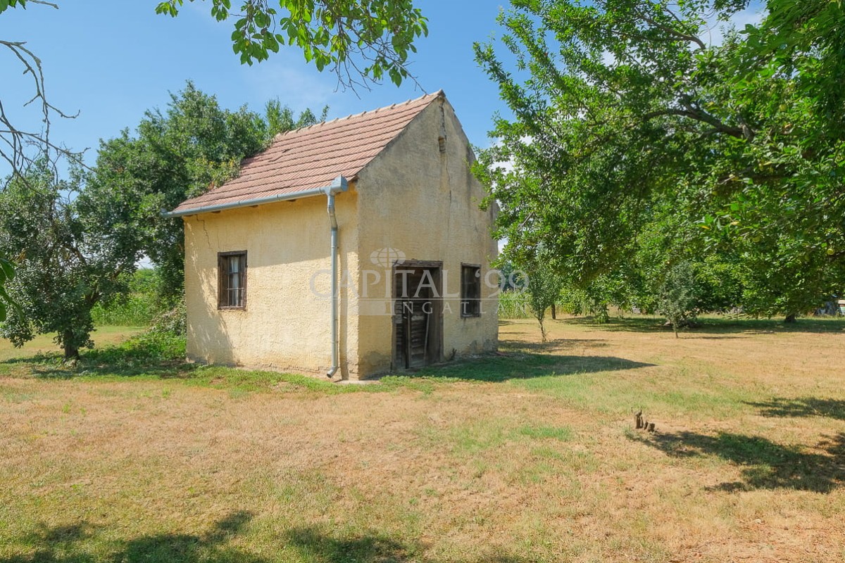 Einfamilienhaus - 4415