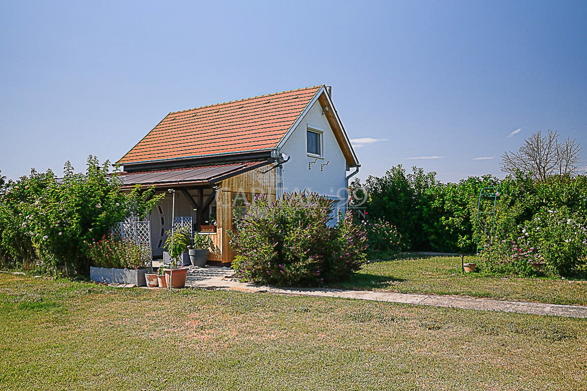 Einfamilienhaus - 4423
